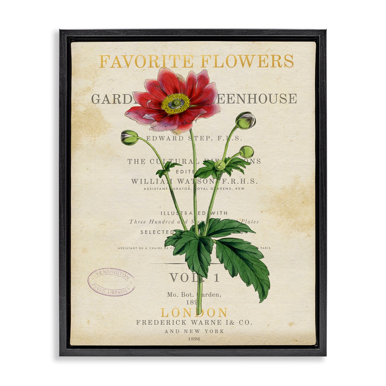 Stupell Industries Garden Greenhouse Vintage Flower Floating Frame By Susan Arnot